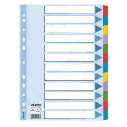 Intercalare Mylar -12 tasti colorati A4 Esselte | Ecotempo