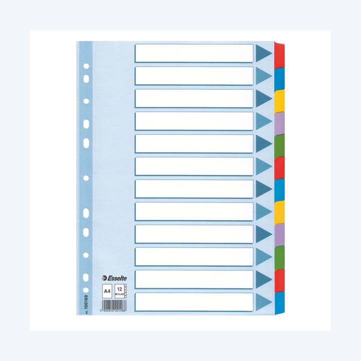 Intercalare Mylar -12 tasti colorati A4 Esselte | Ecotempo