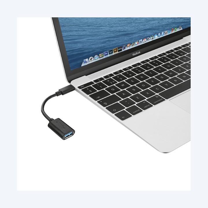 Convertitore da USB-C a USB 3.1 gen 1 nero Trust | Ecotempo