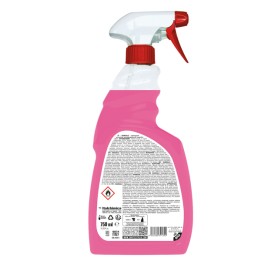 Detergente multisuperficie Sanialc — 90878 | Ecotempo