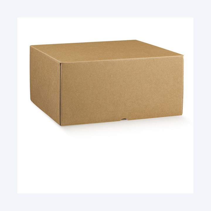 Scatola box per asporto linea Marmotta — 91080 | Ecotempo