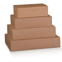 Scatola box per asporto linea Boite — 91083 | Ecotempo