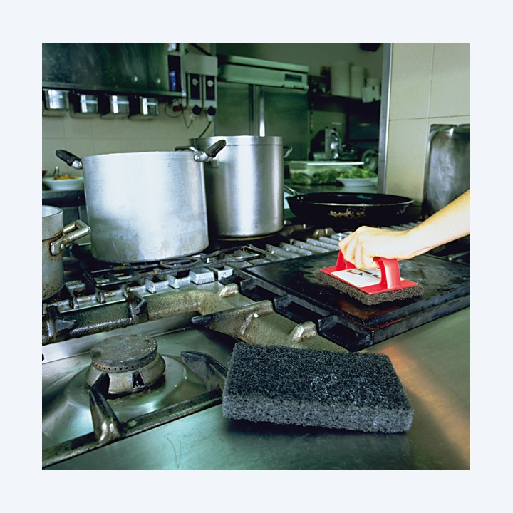 Spugne per griglia Scotch-Brite conf. 4 pezzi | Ecotempo