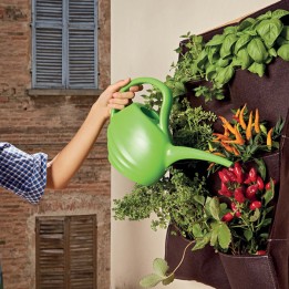 Annaffiatoio 2 L Verdemax | Ecotempo