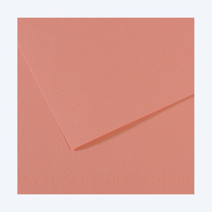 Foglio Mi-Teintes A4 160 gr rosa scuro Canson | Ecotempo