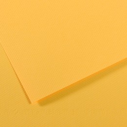 Foglio Mi-Teintes A4 160 gr botton d'oro Canson | Ecotempo