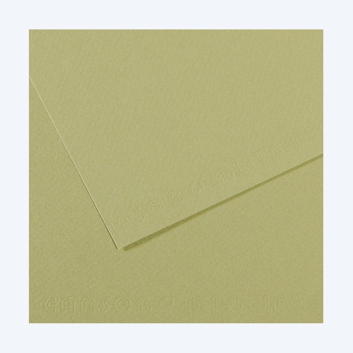 Foglio Mi-Teintes A4 160 gr verde mandorla Canson | Ecotempo