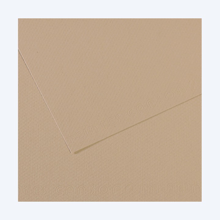 Foglio Mi-Teintes A4 160 gr grigio trianon Canson | Ecotempo
