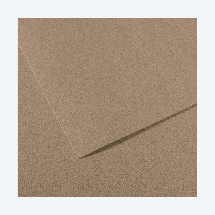 Foglio Mi-Teintes A4 160 gr grigio screziato Canson | Ecotempo
