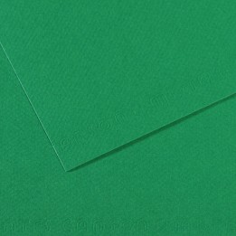 Foglio Mi-Teintes A4 160 gr verde biliardo Canson | Ecotempo