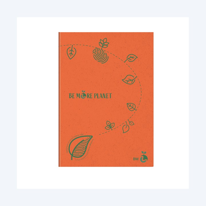 Maxiquaderno Be More Planet A4 1 rigo 38 fogli 80gr BM | Ecotempo