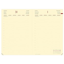QUOVADIS Agenda giornaliera Daily 21 — 94609 | Ecotempo