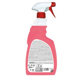 Detergente sgrassante S6 Inox per — 94895 | Ecotempo