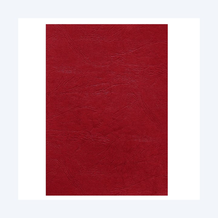 Copertine per rilegatura A4 cartoncino — 95057 | Ecotempo