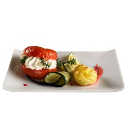 Piatto rettangolare 28,6 x 18 x 2,8 cm — 96742 | Ecotempo