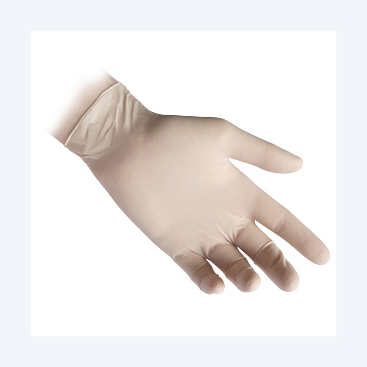 Guanti in lattice R46 s/polvere tg L — 96926 | Ecotempo
