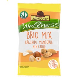 Brio Mix 25 gr Mister Nut | Ecotempo