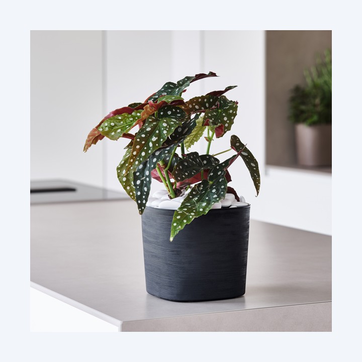 Vaso quadrato Capri 26 L terracotta TeraPlast | Ecotempo