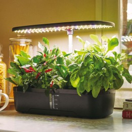 Orto idroponico indoor 20 x 18 x 40 cm Verdemax | Ecotempo