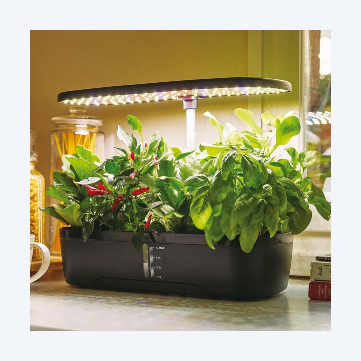 Orto idroponico indoor 20 x 18 x 40 cm Verdemax | Ecotempo
