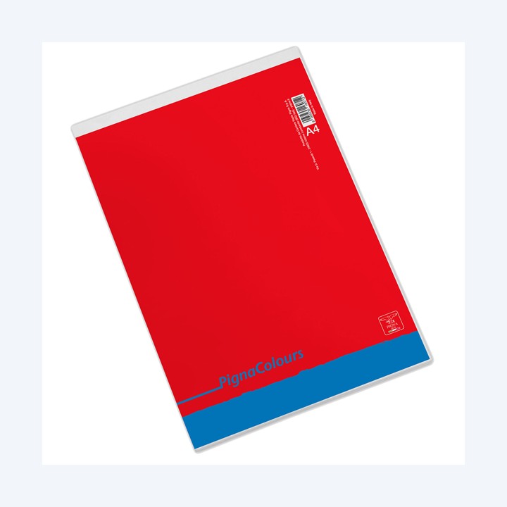 Blocco Colours A4 210 x 210mm 60 gr 60 fogli 5mm Pigna | Ecotempo