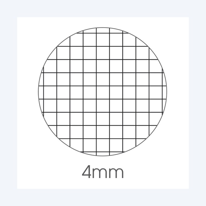 Maxiquaderno Be More Pop A4 4mm 36+2 fogli 100 gr BM | Ecotempo