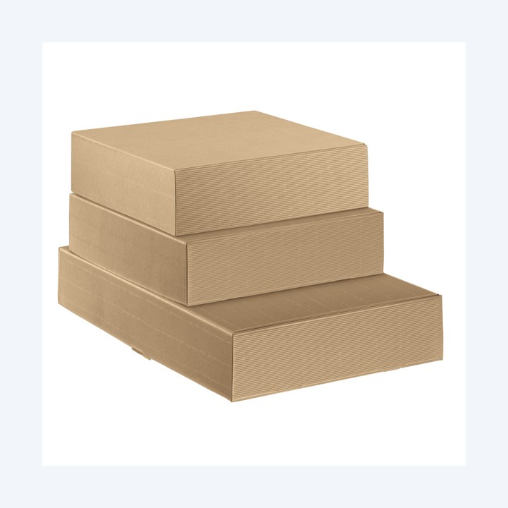 Scatola cantinetta 2 bottiglie 34 x — 99300 | Ecotempo