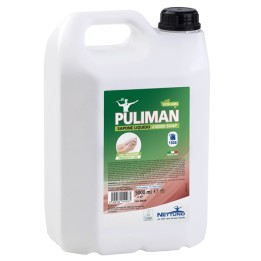Sapone liquido Puliman Ecolabel 5 L Nettuno | Ecotempo
