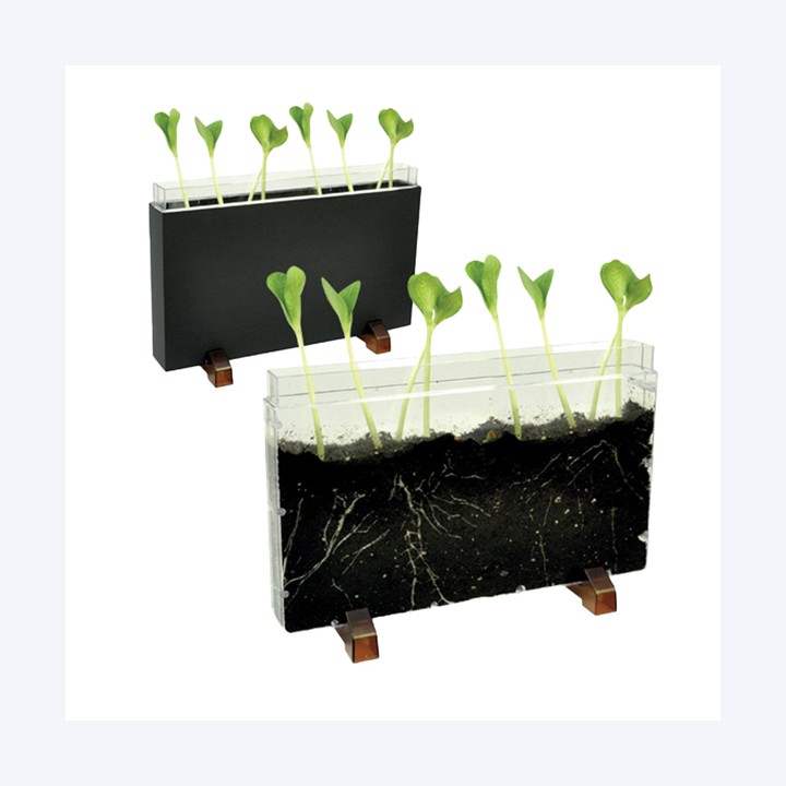 Contenitore Esplora il sottosuolo 30 x 19 x 4 cm Cwr | Ecotempo
