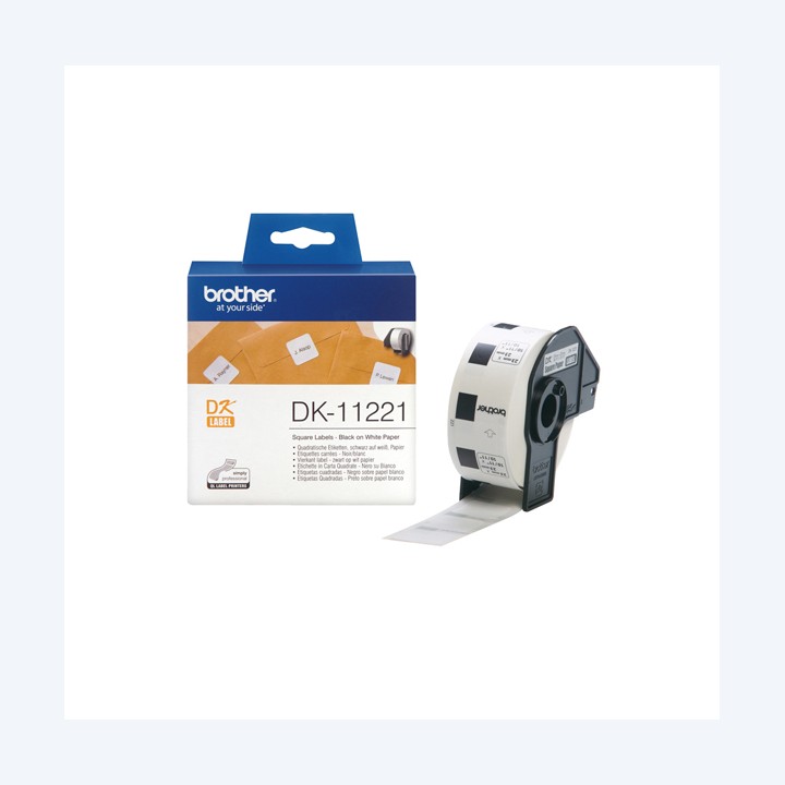 Brother Rotolo 1000 Etichette quadrate — BRODK11221 | Ecotempo