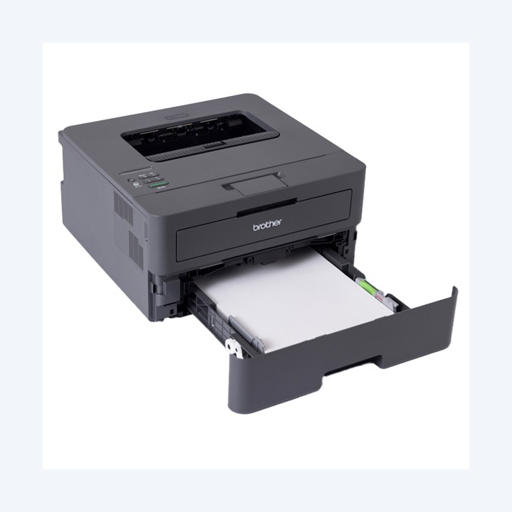 Brother Stampante laser monocromatica HL-L2445DW | Ecotempo