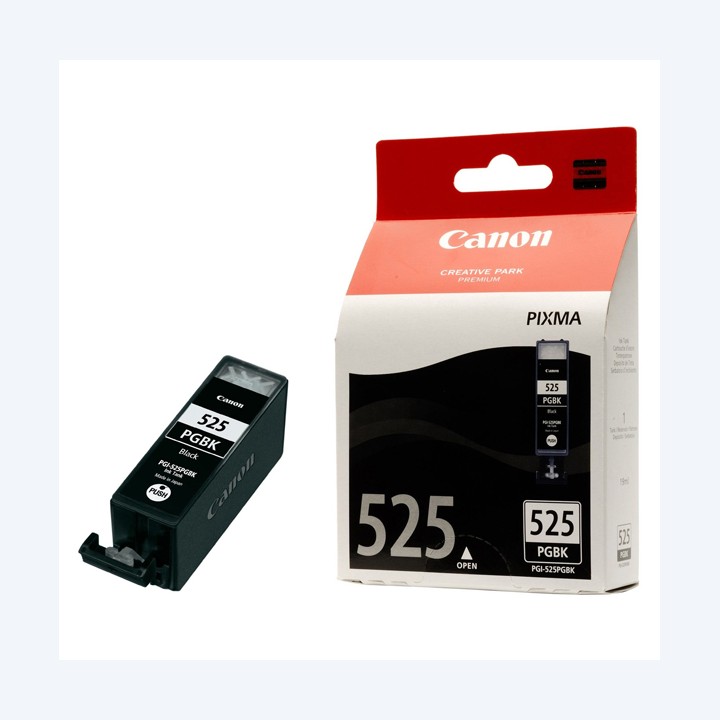 Canon Cartuccia ink Nero 4529B001 339 pag | Ecotempo