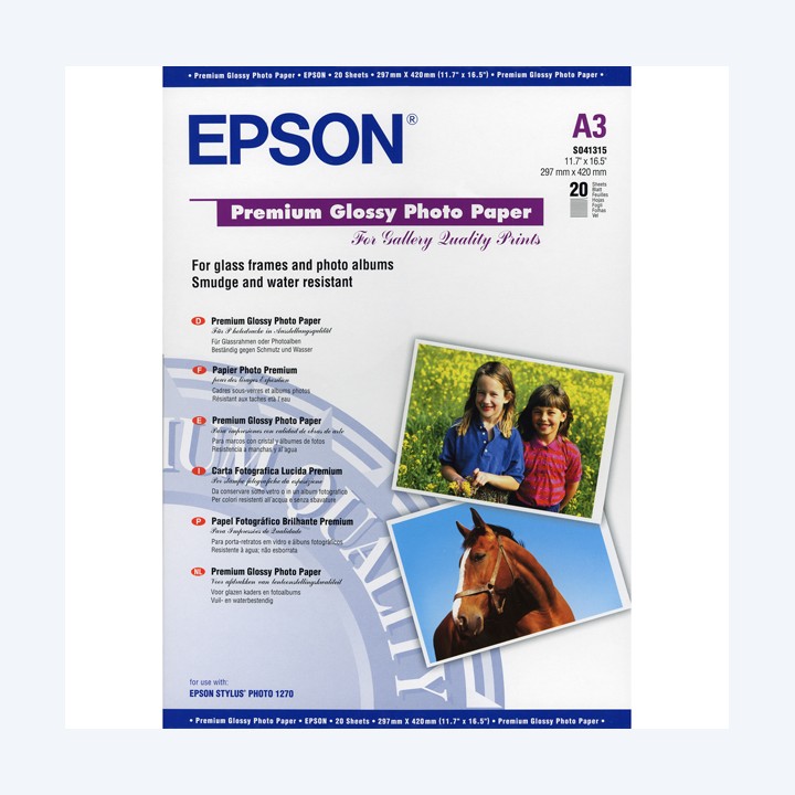 Epson Carta fotografica lucida Premium C13S041315 | Ecotempo