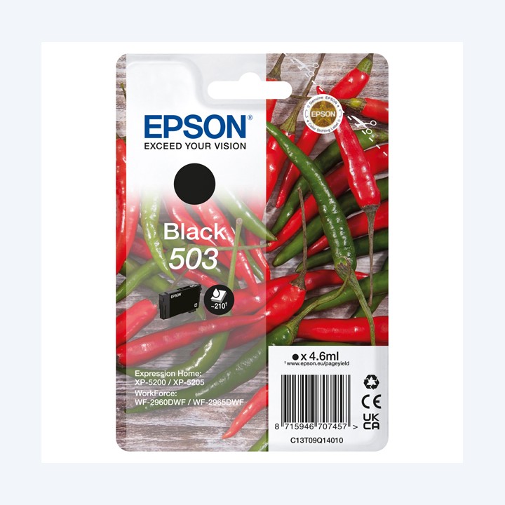Epson Cartuccia Nero 503- C13T09Q14010 4,6 ml | Ecotempo