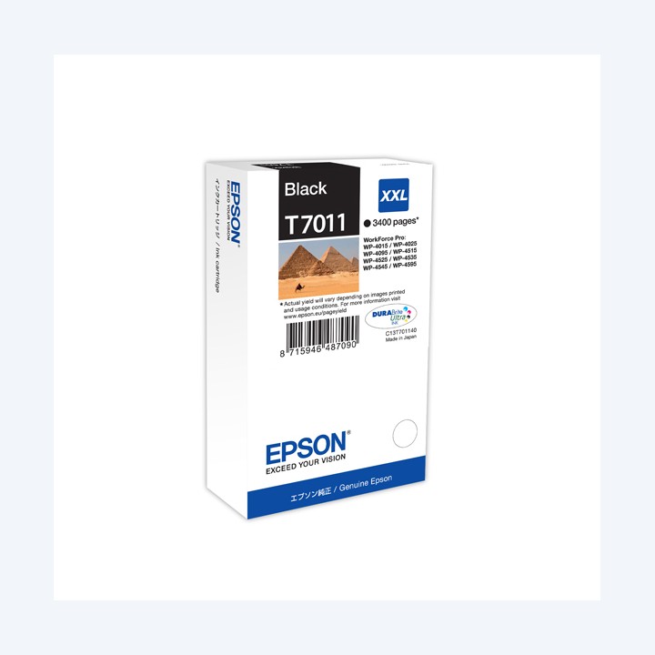 Epson Tanica Nero T7011 C13T70114010 63,2ml | Ecotempo