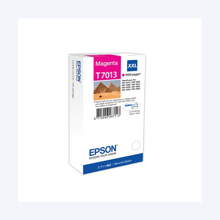 Epson Tanica Magenta T7013 C13T70134010 34,2ml | Ecotempo