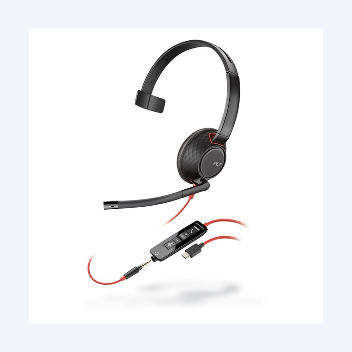 Cuffie Blackwire 5210 USB-A 207577-201 Poly | Ecotempo