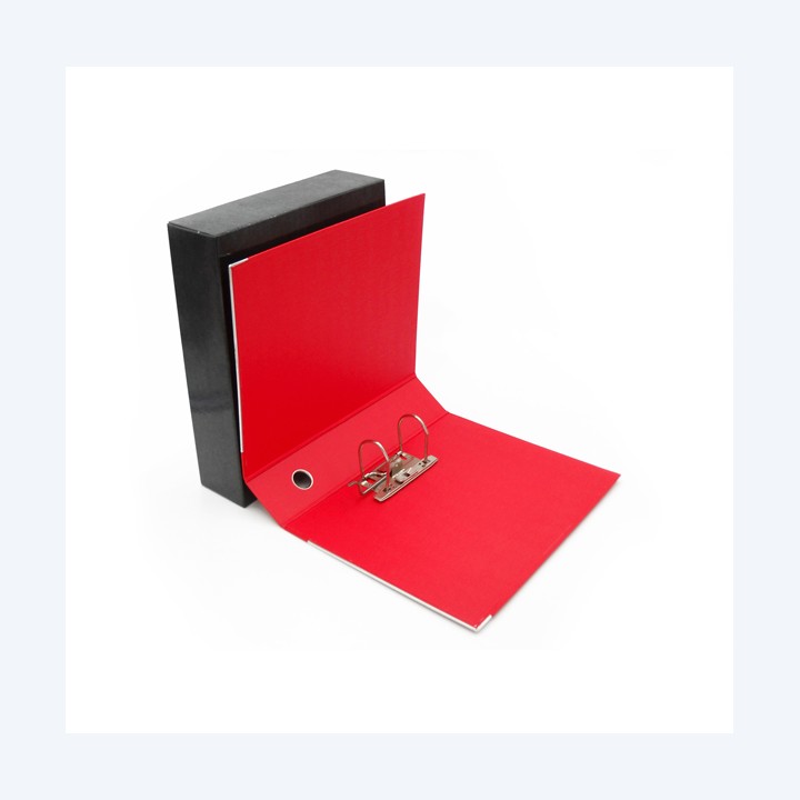 Registratore Kingbox dorso 8 cm — STL4022 | Ecotempo