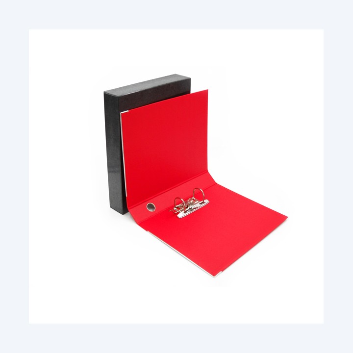 Registratore Kingbox dorso 5 cm — STL4028 | Ecotempo